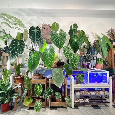 Home In Tainan Bagian luar foto