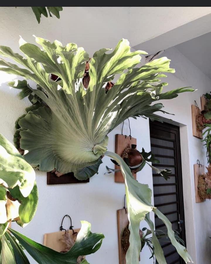 Home In Tainan Bagian luar foto
