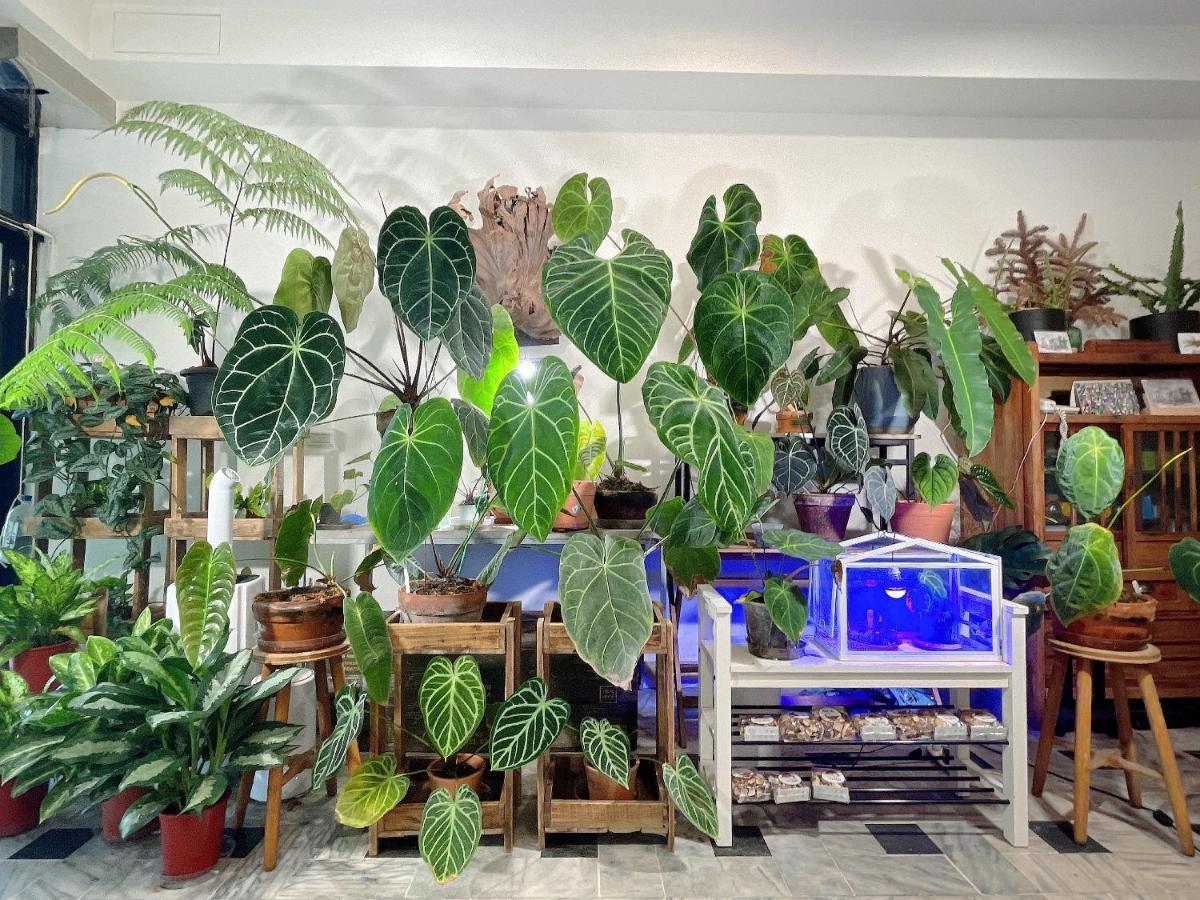 Home In Tainan Bagian luar foto